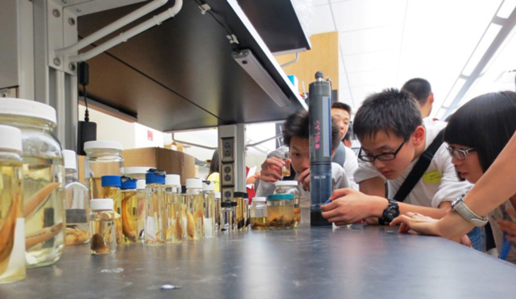 Chinese students examine bug samples from rivers in Iowa during a visit to the State Hygienic Laboratory