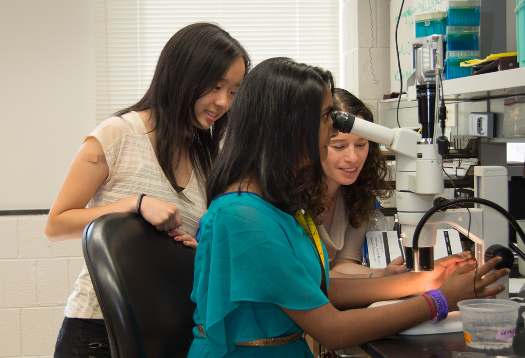 Diana Lu, Praakruti Cherukuri, and UI faculty mentor Maurine Neiman examine snails under a microscope.