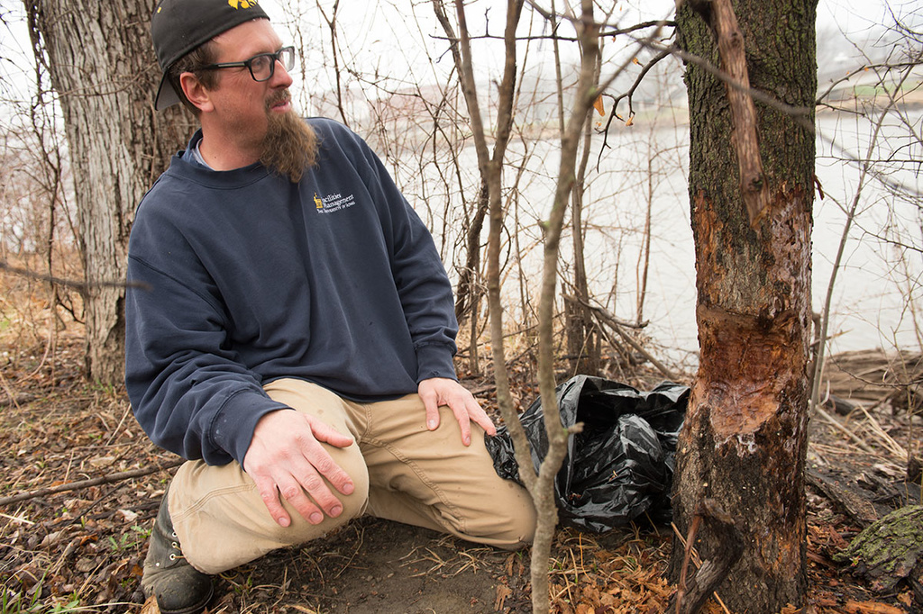 Andy Dahl next to trees showing evidence of beaver gnaw