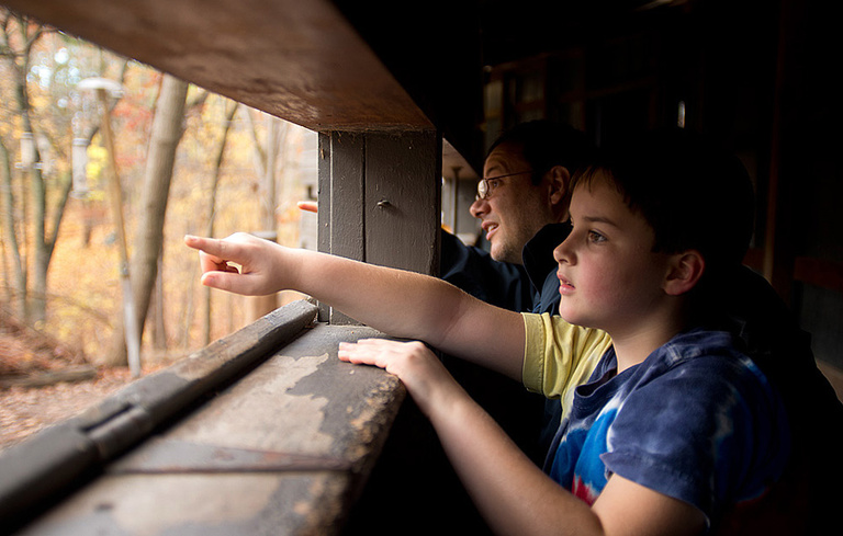 People watch birds from the bird blind.