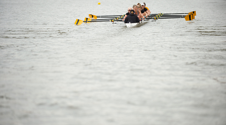 Rowers on the water