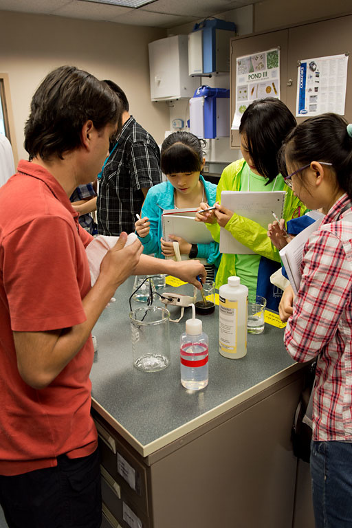 A teaching assistant works with students in the laboratory
