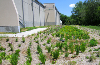 A bio-retention cell will retain and absorb water runoff, serving as a natural filter and providing erosion control.