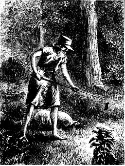 sketch of Johnny Appleseed