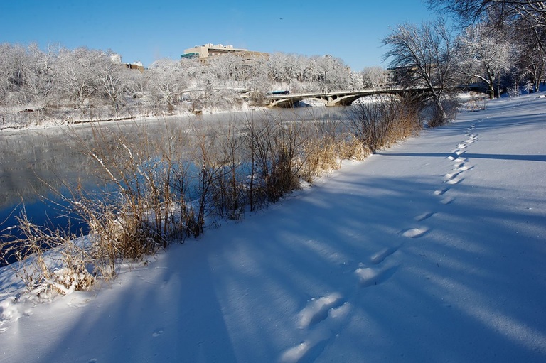 Snow tracks along the Iowa River banks.