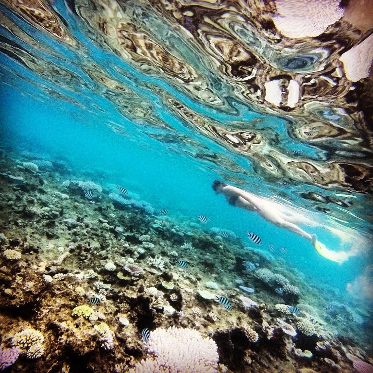 underwater reef snorkeler