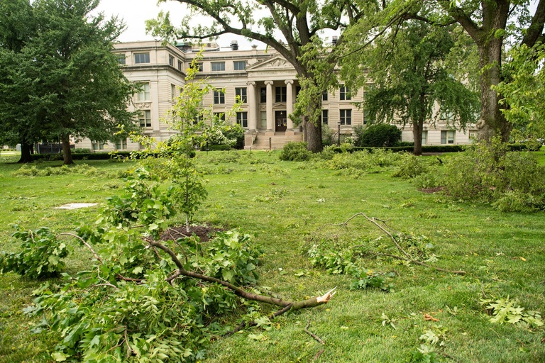 downed branches on the pentacrest