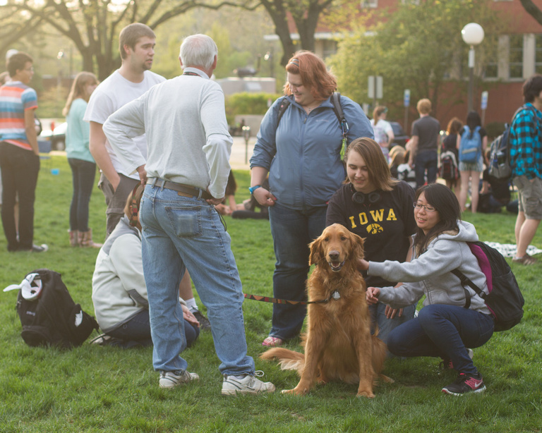 Therapy dogs for students during finals week