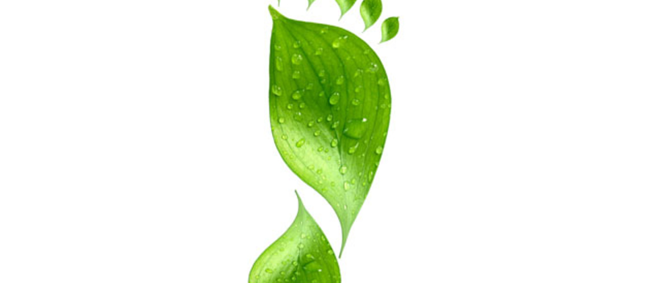 illustration of a leaf twisted into a footprint to represent a carbon footprint