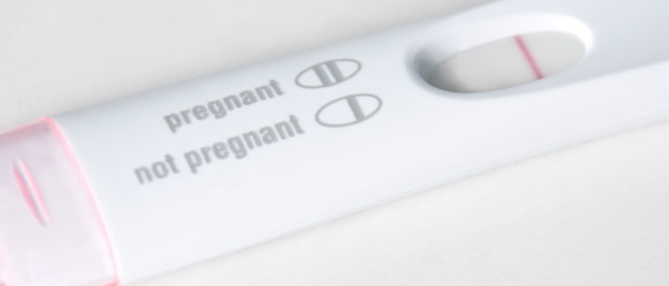 Pregnancy test showing "not pregnant" results