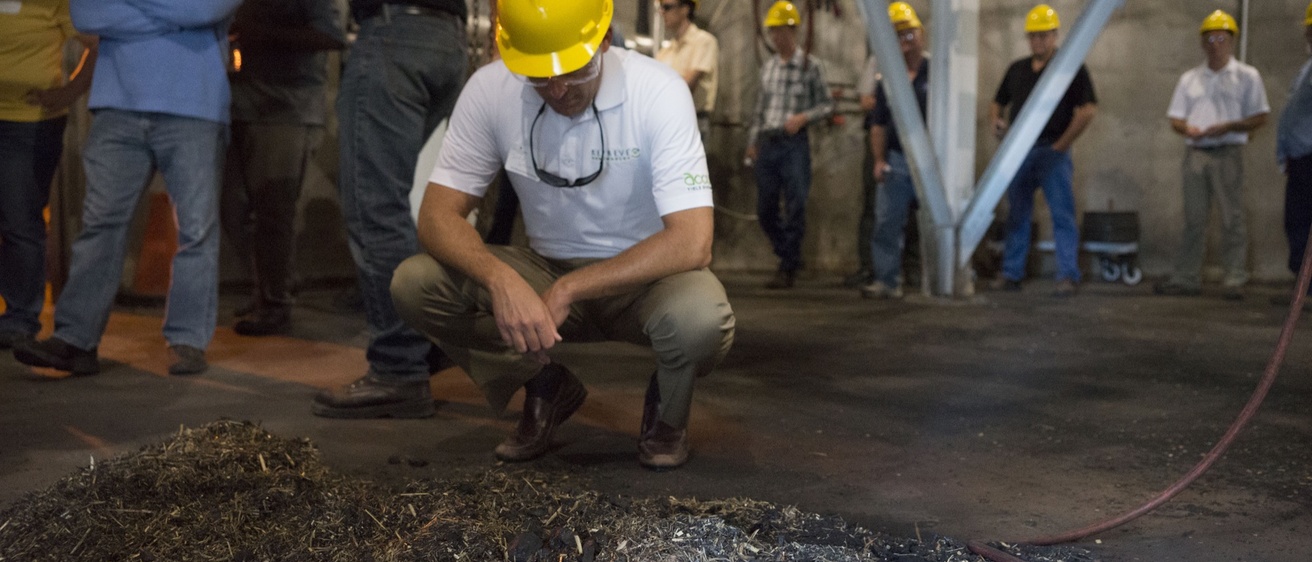 a man with a hardhat squats by a mix of coal and straw-like Miscanthus 