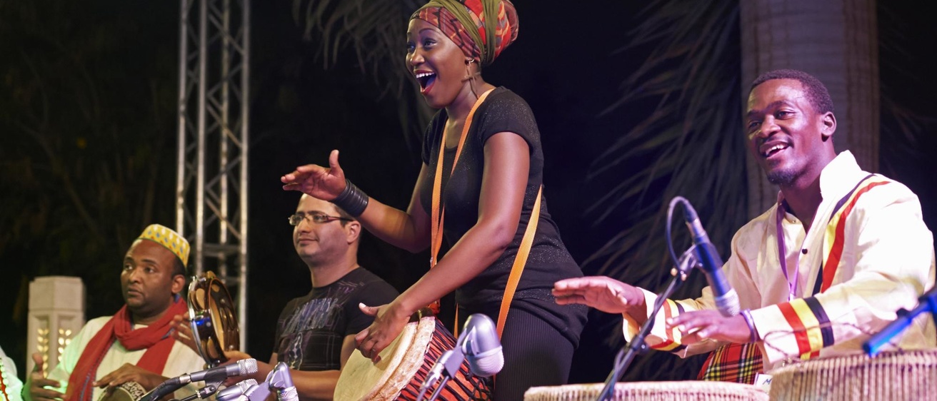 nile project musicians performing
