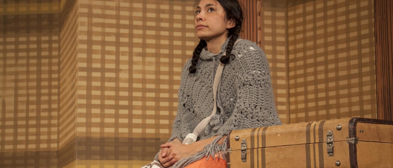 The protagonist in The Maleta sits next to her suitcase.
