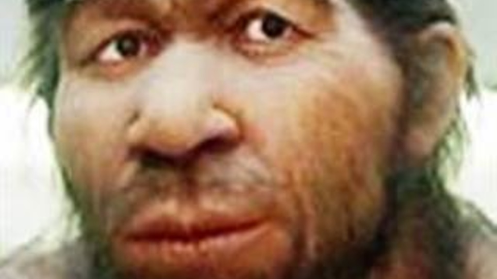 Neanderthal nose
