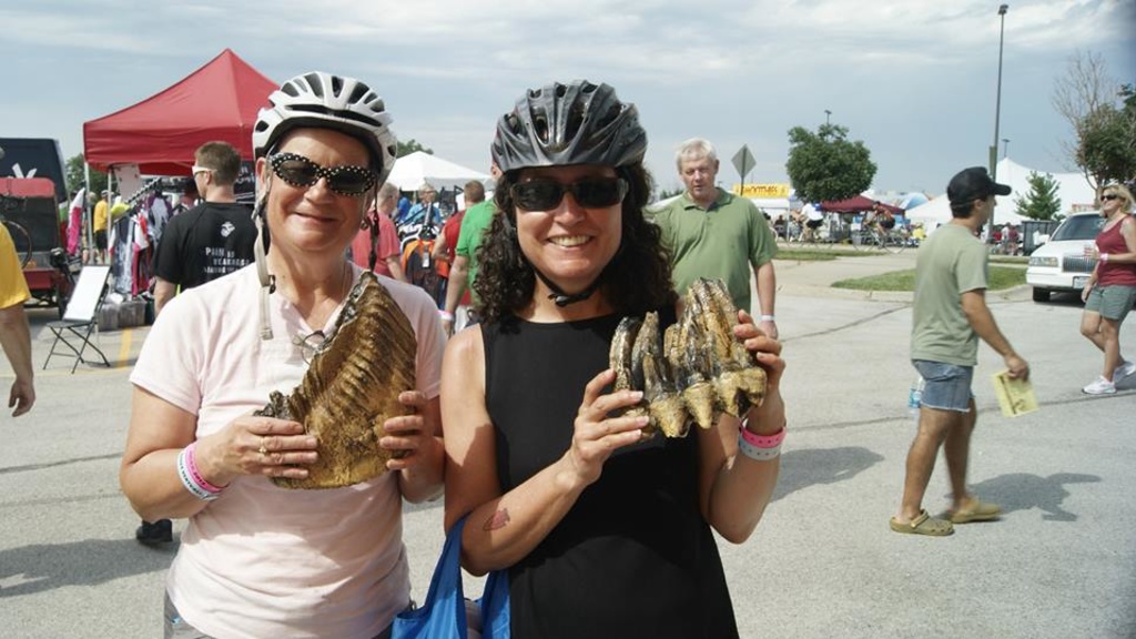 Two RAGBRAI cyclists hold up replicas of mammoth and mastodon teeth at the Office of the State Archaeologist at the University of Iowa RAGBRAI kickoff booth in Council Bluffs