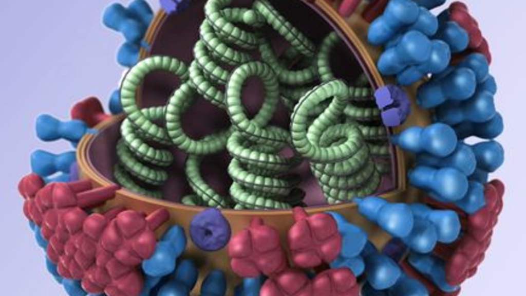 A 3-D illustration shows the structure of a generic influenza virus.  Illustration courtesy Douglas Jordan, CDC