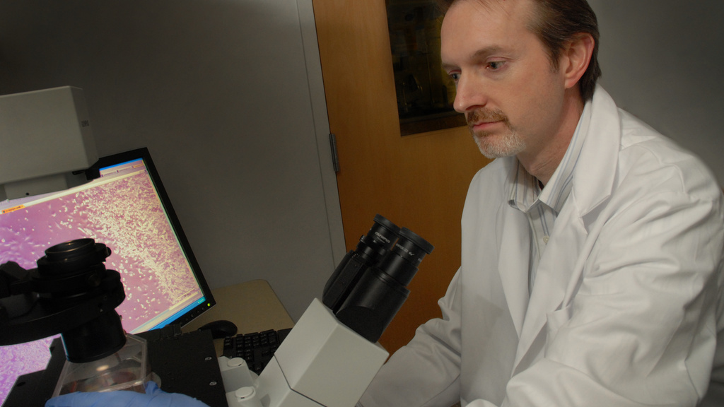Robert F. Mullins, Ph.D., studies degenerative diseases of the retina in his lab at the UI Carver College of Medicine.