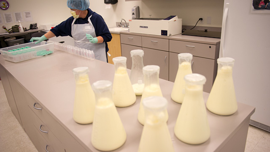 Erin Edington prepares milk for pasteurization