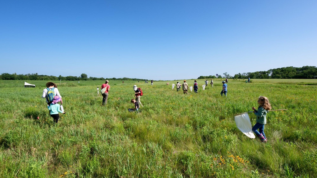The BioBlitz takes place at the Ashton Prairie Living Laboratory next to the Hawkeye Commuter Lot and near the UI Ashton Cross Country Course.