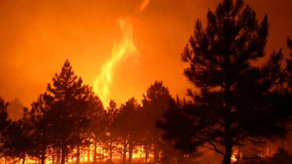A fire in Kaibab National Forest in 2006.