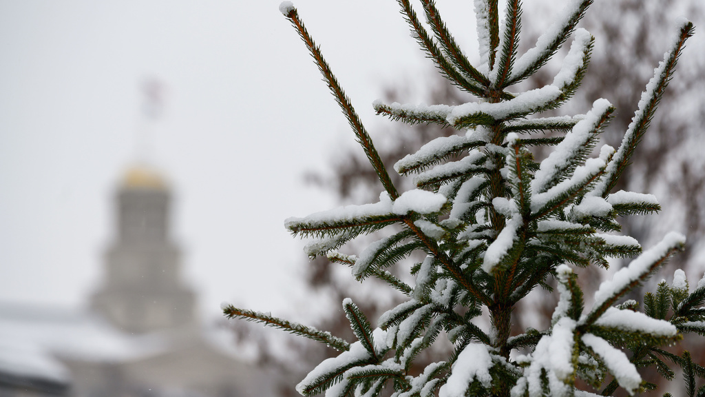 snowy campus tree and old capitol