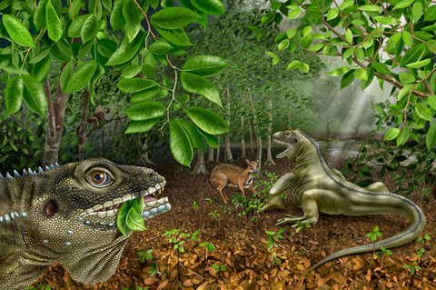UI researcher and colleagues discover new species of ancient Asian