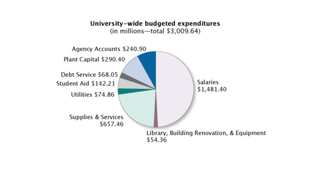 university-wide budgeted expenditures
