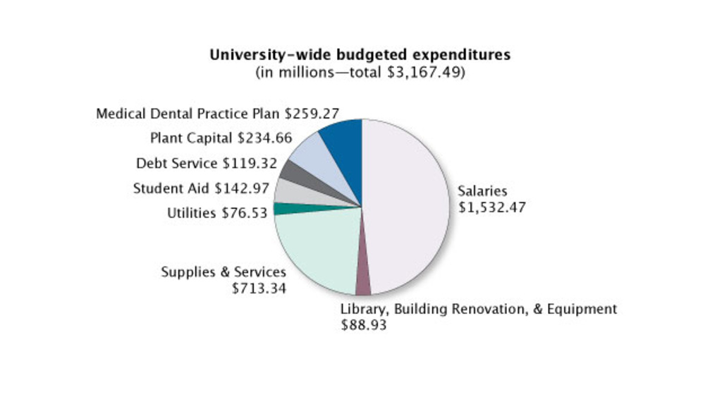 University wide budgeted expenditures