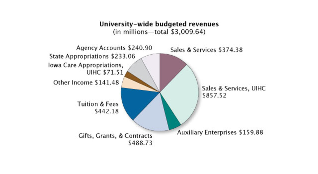 university-wide budgeted revenues
