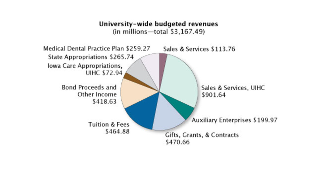University wide budgeted revenues