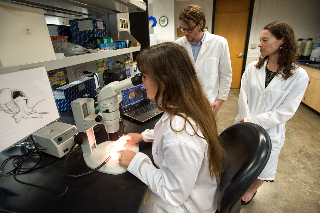 Associate Professor of Biology Maurine Neiman works with Graduate Teaching assistant Joe Jalinsky and incoming Freshman Kaitlin Hatcher of Solon, IA in the Snail Research Lab