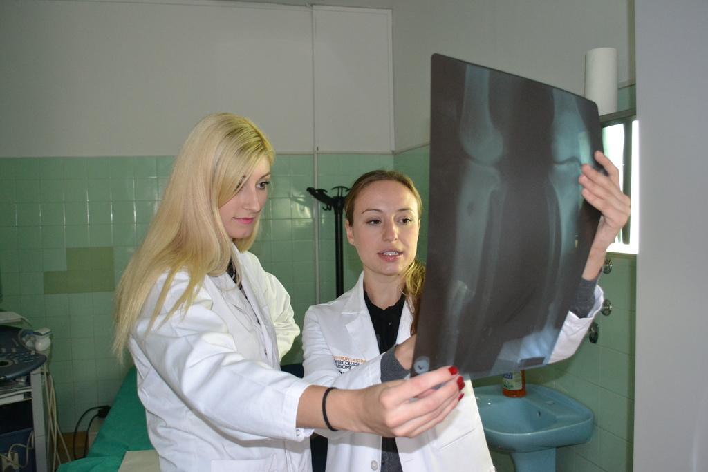Katherine Ryken looks at an x-ray