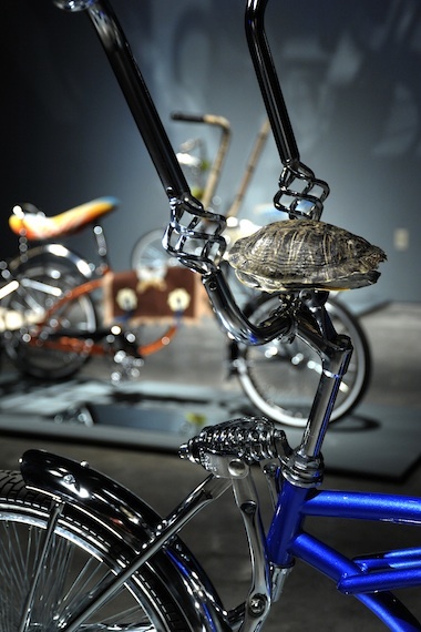 Closeup of bicycle handlebars with a turtle shell attached