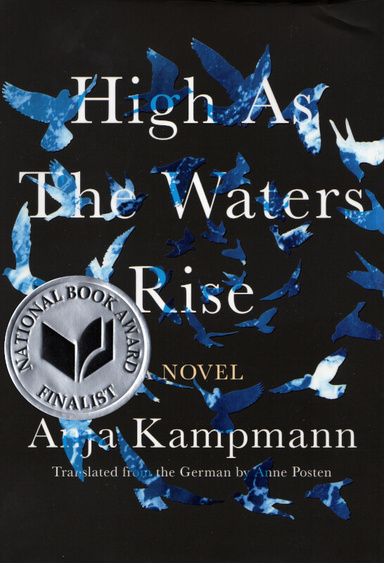 cover of high as the waters rise