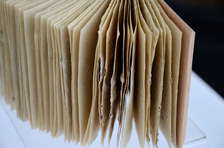 detail of flax paper pages