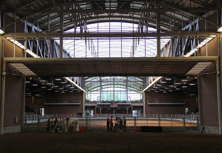 a horse is prepared for showing at the Iowa State Fair