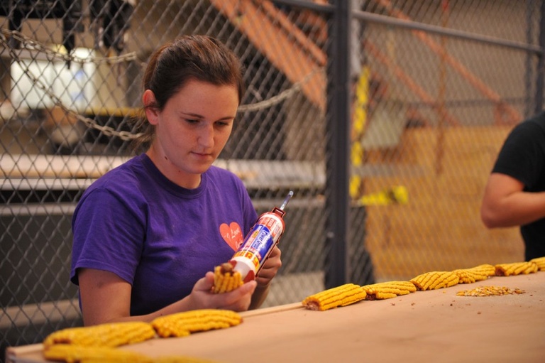 student gluing corn to plywood