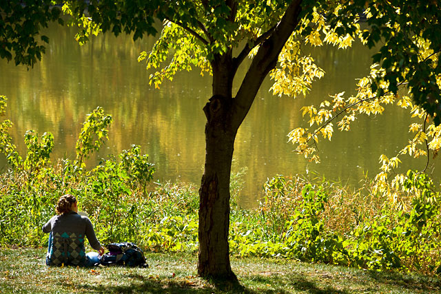 Color photo of a student sitting under a tree by the Iowa River
