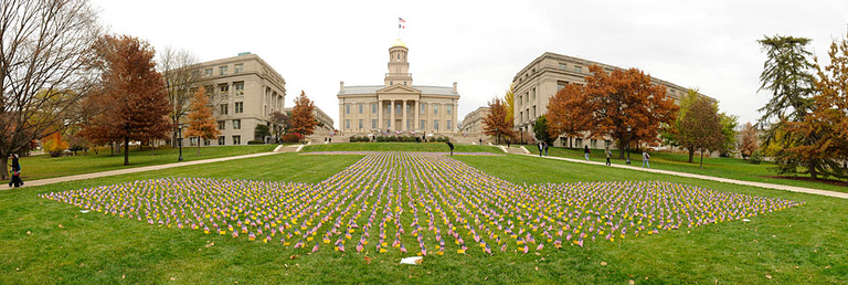 Flags in honor of Veterans Day on the Pentacrest.
