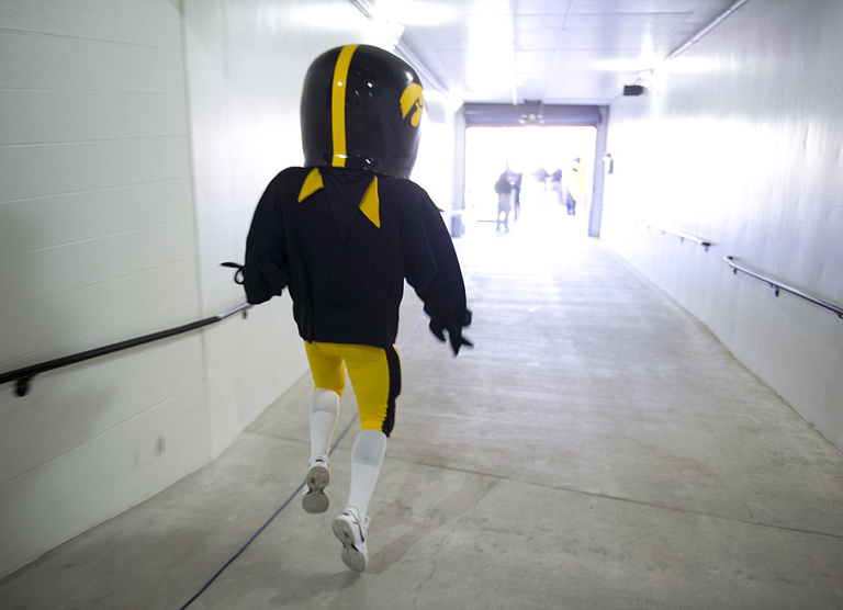 Herky heading out onto the field.