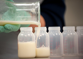Milk in preparation for pasteurization