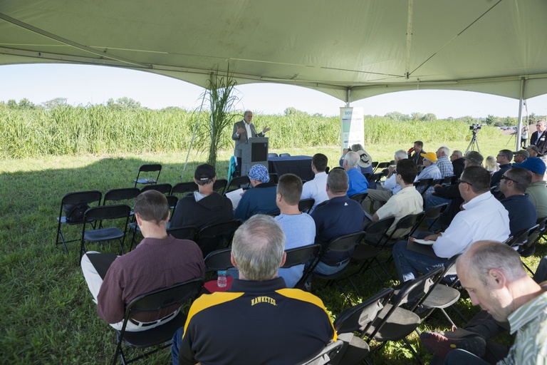 Congressman Loebsack addresses a small crowd under a small tent in front of a field of tall Miscanthus grass.