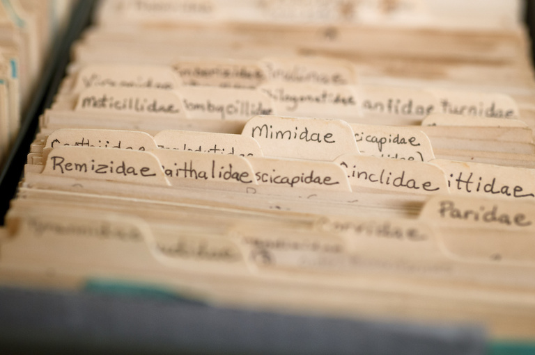 This handwritten card catalog details where things were kept in the old attic storage. Now it is used to double-check items—most everything in the collection has been or will be digitally cataloged.