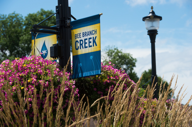 bee branch creek banner