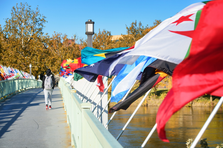 flags representing the home countries of university of iowa international students fly on the IMU footbridge