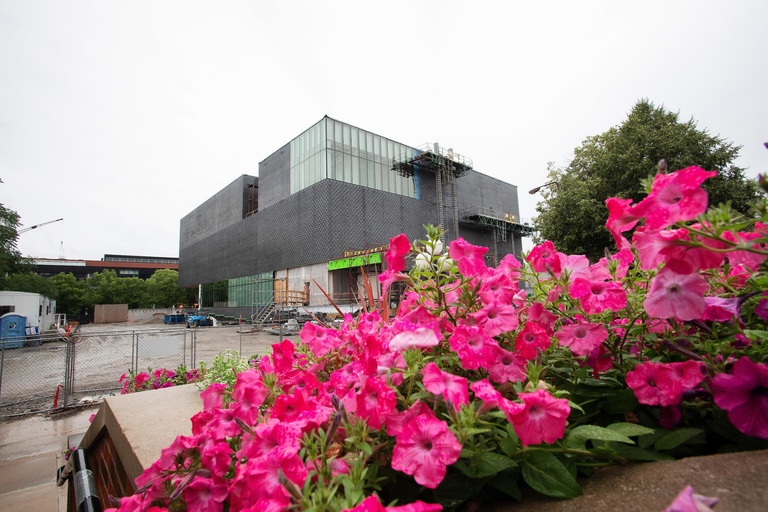pink flowers in front of uima building