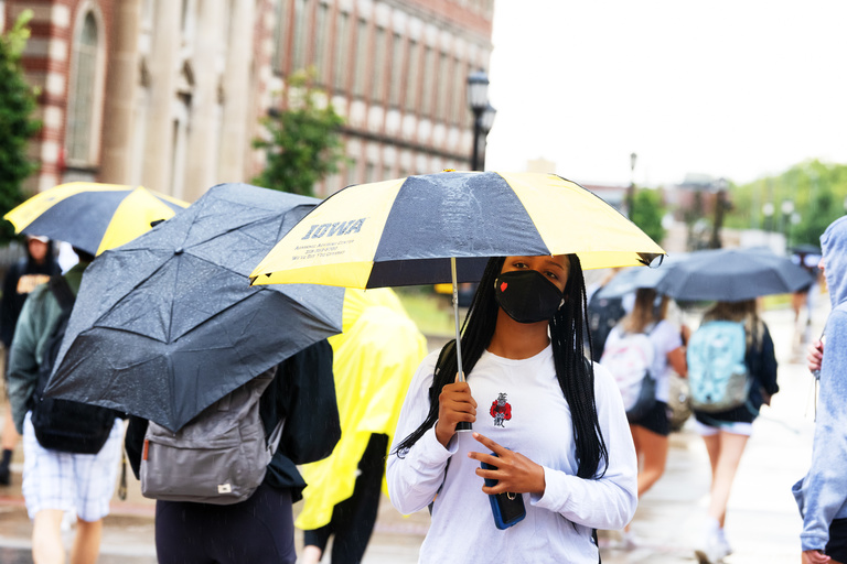black-and-gold umbrellas