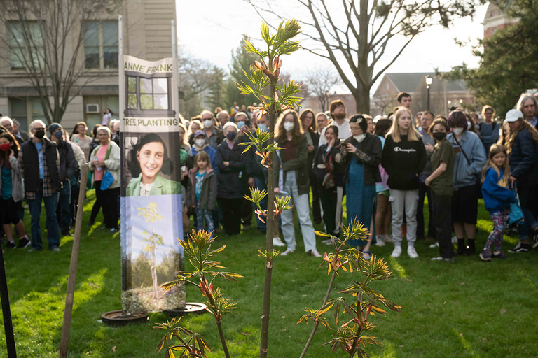 Viewers admire the sapling of the Anne Frank tree on the Pentacrest after it was planted.
