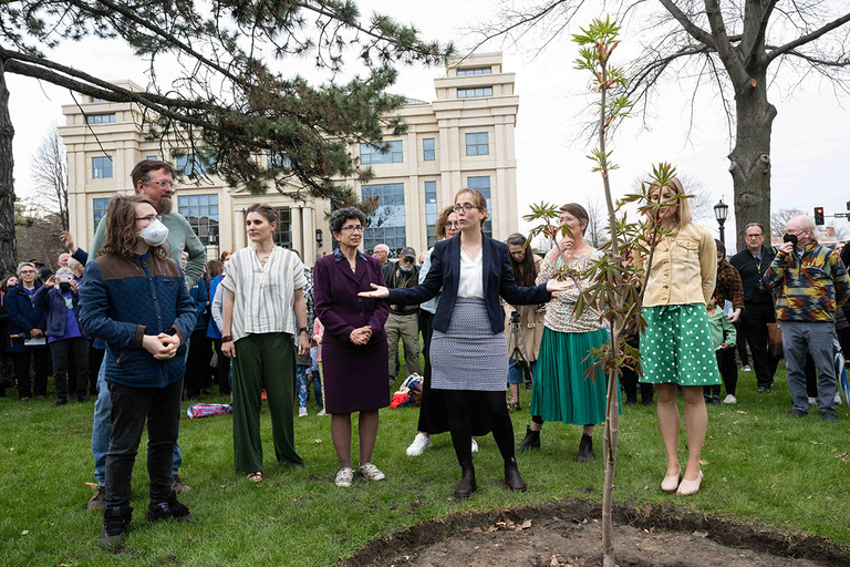 The Anne Frank Tree: Taking Root in Iowa initiative was led by Dr. Kirsten Kumpf Baele (UI German department), whose research and teaching focus on Anne Frank. Baele authored the application that secured the sapling for the UI and Iowa City community.