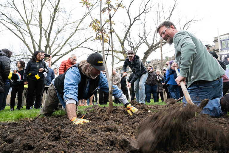 Dirt is packed around the base of the Anne Frank tree on Friday, April 29, 2022.